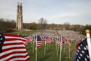 Naperville Veterans Flags