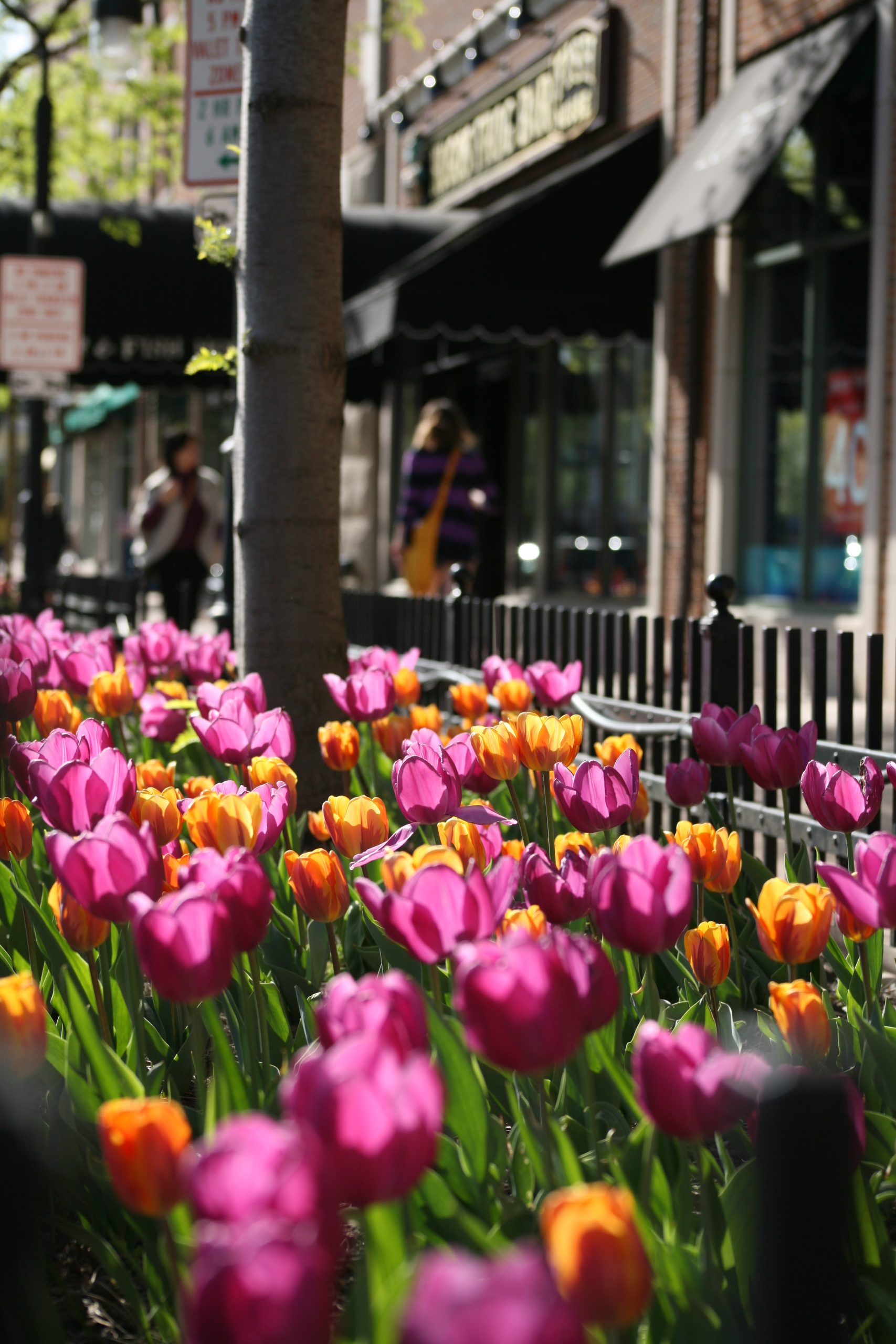 About the NACC Naperville Area Chamber of Commerce