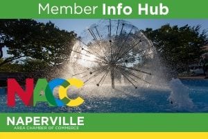 Member info Hub